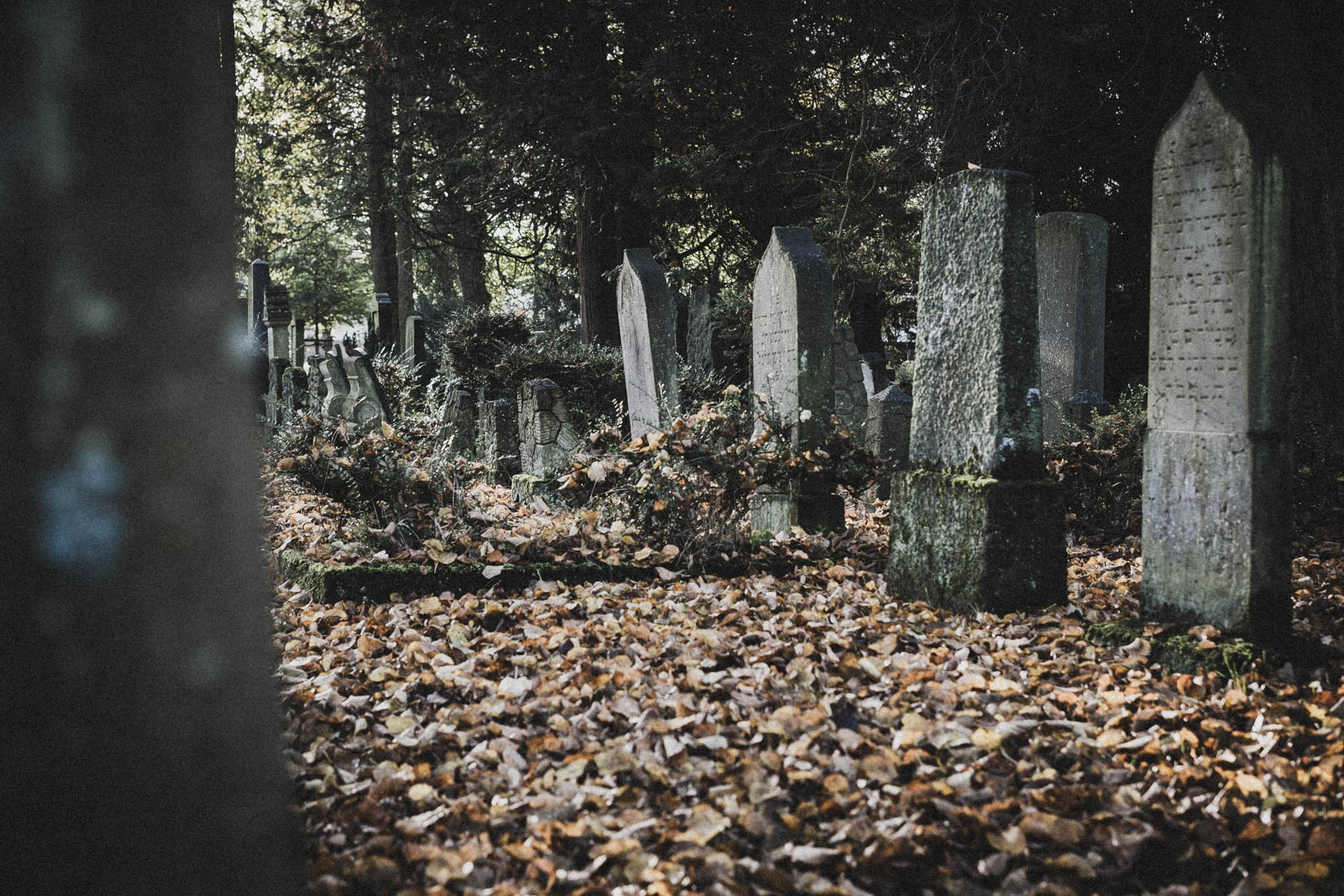 Norden (Ostfriesland), Jüdischer Friedhof